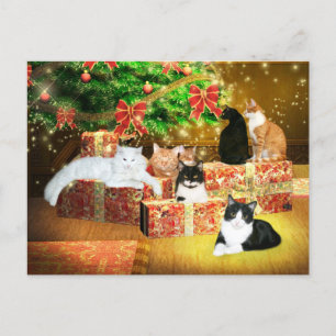Cartes Pour Fêtes Annuelles Kitty cat Noël