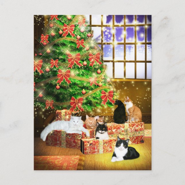 Cartes Pour Fêtes Annuelles Kitty cat Noël (Devant)