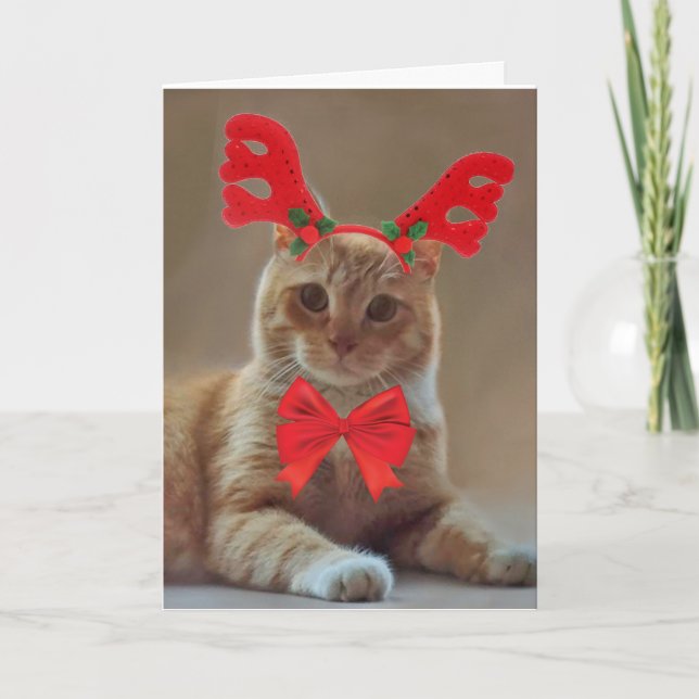 Cartes Pour Fêtes Annuelles Kitty Cat Reindee Noël (Devant)