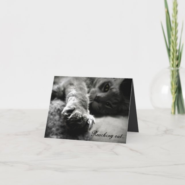 Cartes Pour Fêtes Annuelles Kitty Cat Valentine's Day Card (Devant)