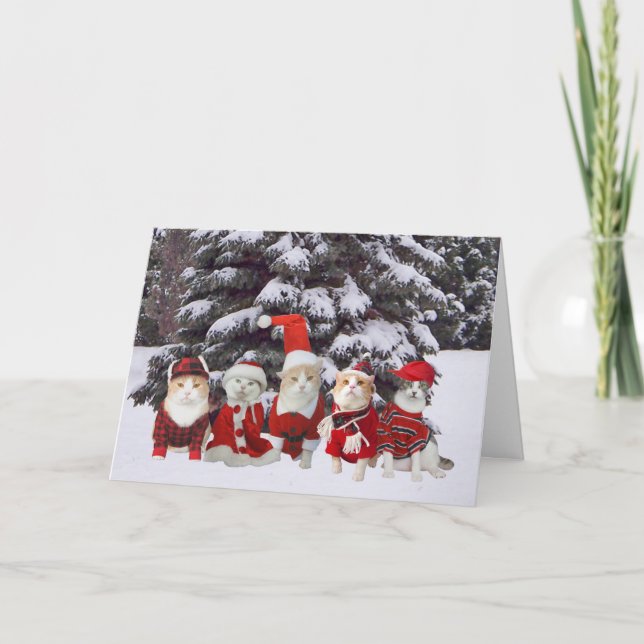 Cartes Pour Fêtes Annuelles Kitty Cats de Funny (Devant)