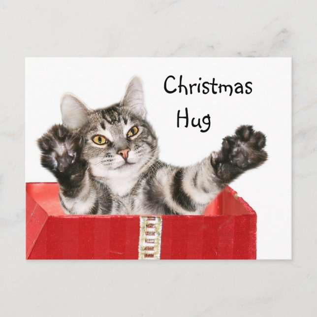 Cartes Pour Fêtes Annuelles Kitty Christmas hug (Devant)