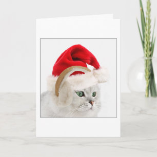 Cartes Pour Fêtes Annuelles Kitty dans des manchons de casquette et d'oreille