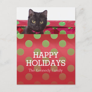 Cartes Pour Fêtes Annuelles Kitty dans la boîte-cadeau
