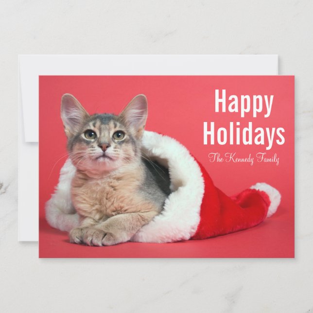 Cartes Pour Fêtes Annuelles Kitty de Noël (Devant)