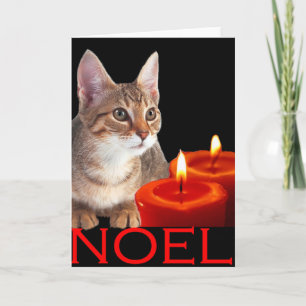 Cartes Pour Fêtes Annuelles Kitty et bougies
