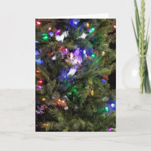 Cartes Pour Fêtes Annuelles Kitty sapin de Noël
