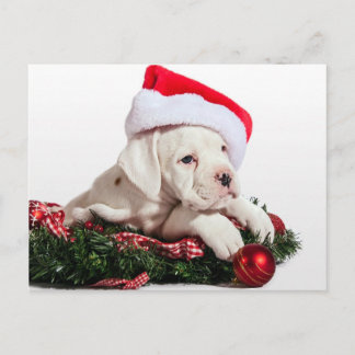 Cartes Pour Fêtes Annuelles kleiner Boxer Welpe / petit chiot Boxer Noël
