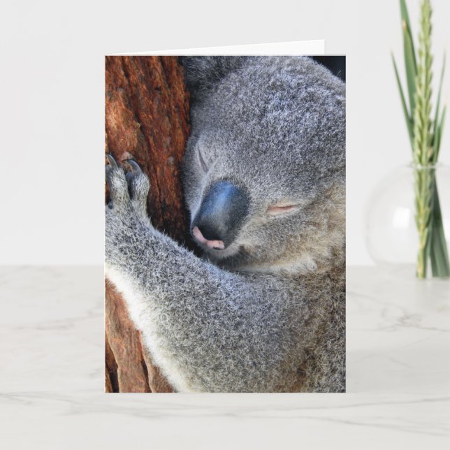 Cartes Pour Fêtes Annuelles Koala (Devant)
