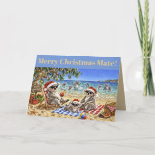 Cartes Pour Fêtes Annuelles Koalas de Noël à la plage