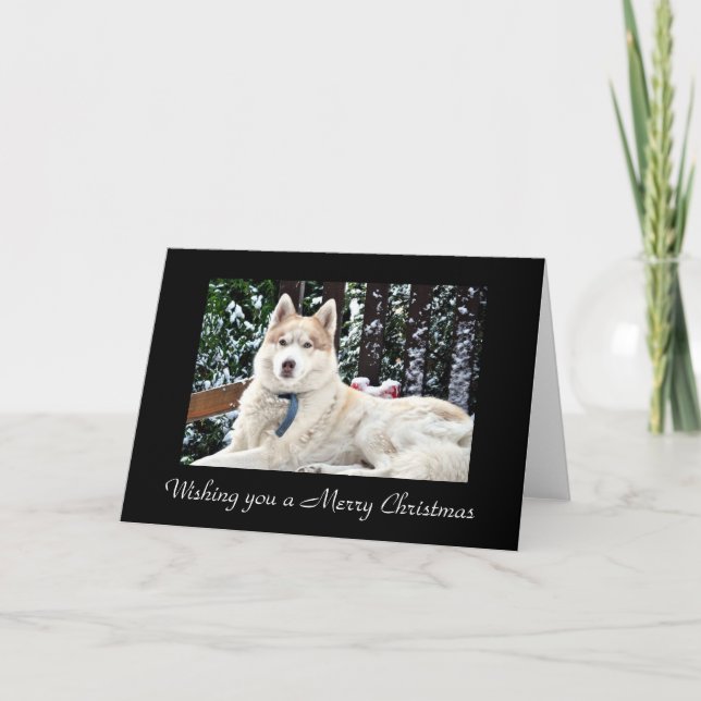 Cartes Pour Fêtes Annuelles Kodi (Devant)