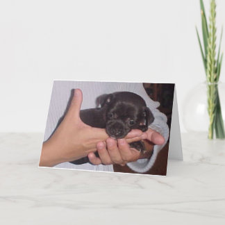 CARTES POUR FÊTES ANNUELLES KOKO