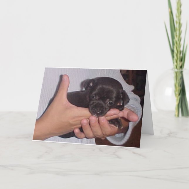 CARTES POUR FÊTES ANNUELLES KOKO (Devant)