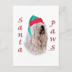 Cartes Pour Fêtes Annuelles Komondor Père Noël Paws