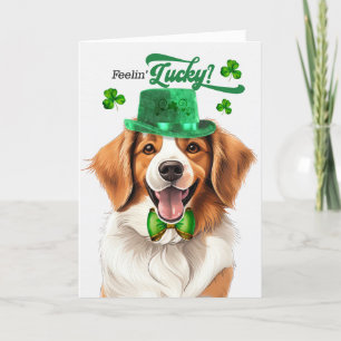 Cartes Pour Fêtes Annuelles Kooikerhondje Chien Feelin' Lucky St Patrick's Day