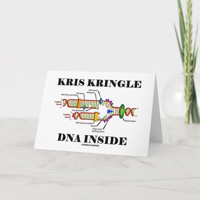 Cartes Pour Fêtes Annuelles Kris Kringle DNA Inside (Devant)