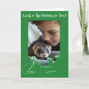 Cartes Pour Fêtes Annuelles La chance des furets Saint Patrick's Day