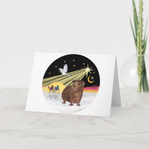 Cartes Pour Fêtes Annuelles La colombe de Noël - Cochon de Guinée 3