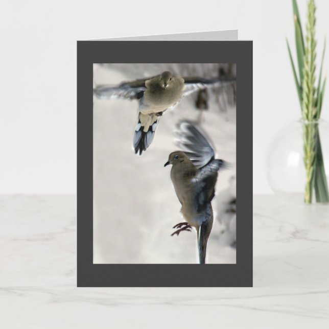 Cartes Pour Fêtes Annuelles La colombe en deuil (Devant)