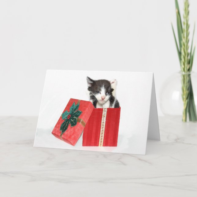 Cartes Pour Fêtes Annuelles La curiosité a obtenu le chaton de Noël (Devant)