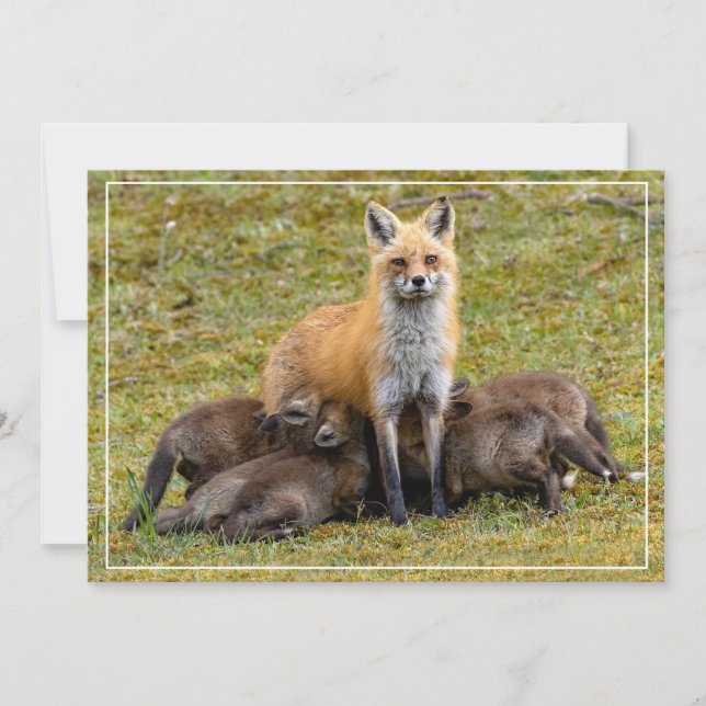 Cartes Pour Fêtes Annuelles La fête des mères (Devant)