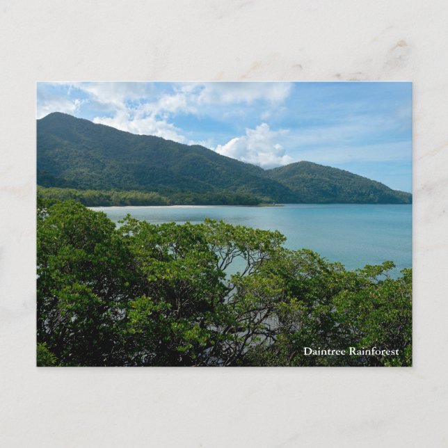 Cartes Pour Fêtes Annuelles La forêt pluviale de Daintree au Cap Tribulation (Devant)
