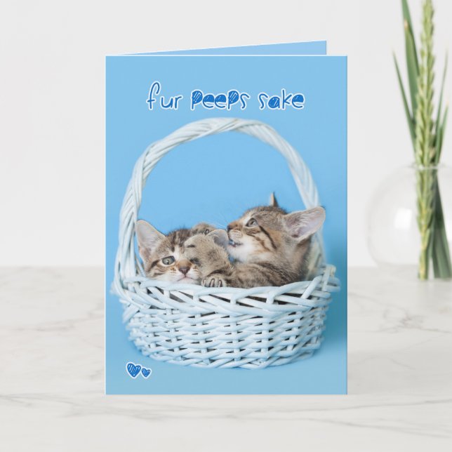 Cartes Pour Fêtes Annuelles La fourrure piaule combat jumeau de chatons de (Devant)