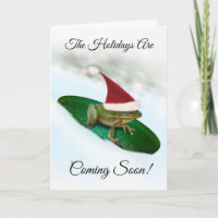 La grenouille se balade dans le Noël de la neige