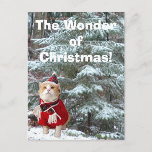 Cartes Pour Fêtes Annuelles La merveille de Noël !