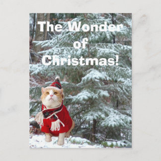 Cartes Pour Fêtes Annuelles La merveille de Noël !