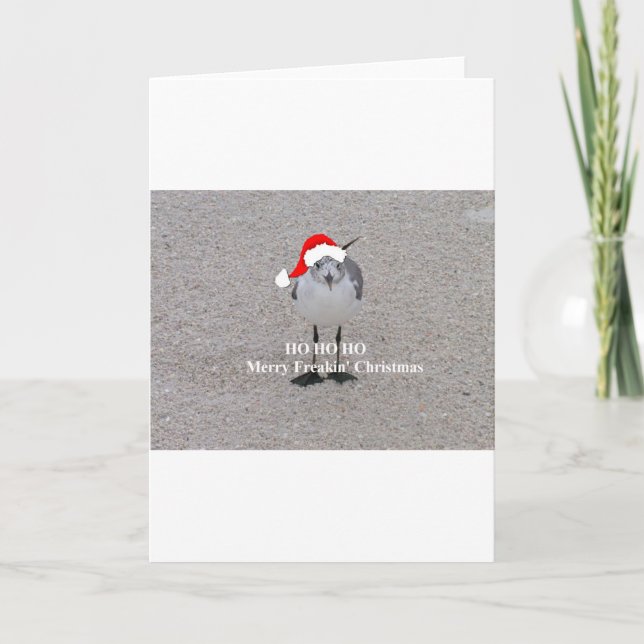 Cartes Pour Fêtes Annuelles La mouette de Noël (Devant)