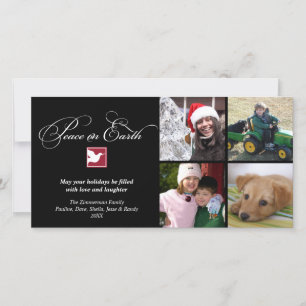 Cartes Pour Fêtes Annuelles La paix de colombe blanche noire sur la terre voeu