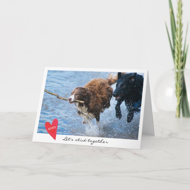 Cartes Pour Fêtes Annuelles La photo de chien de Saint-Valentin nous a laissés (Devant)