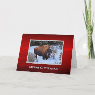 Cartes Pour Fêtes Annuelles La photo de neige de Buffalo Noël