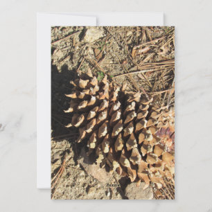 Cartes Pour Fêtes Annuelles La Pinecone de la sangle