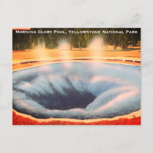 Cartes Pour Fêtes Annuelles La piscine du matin, parc national de Yellowstone
