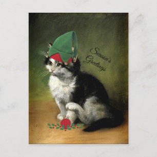 Cartes Pour Fêtes Annuelles La Postca de Noël à l'ancienne et chaton