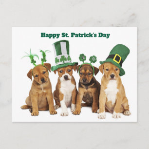 Cartes Pour Fêtes Annuelles La Saint-Patrick