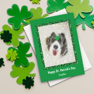Cartes Pour Fêtes Annuelles La Saint-Patrick Chien Chanceux Trèfle Vert