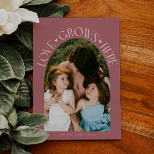 Cartes Pour Fêtes Annuelles La Saint-Valentin de l'arche rose où l'amour grand