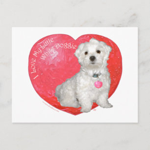 Cartes Pour Fêtes Annuelles La Saint-Valentin maltaise