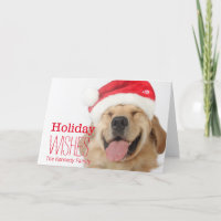 La tête et le sourire fou d'un chien heureux