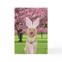 Laboratoire de Pâques