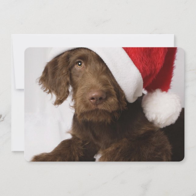 Cartes Pour Fêtes Annuelles Labradoodle portant un chapeau de Père Noël (Devant)