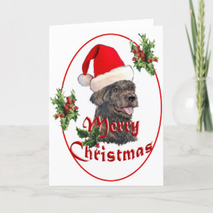 Cartes Pour Fêtes Annuelles labradoodle Santa Claus