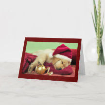Labrador de Noël