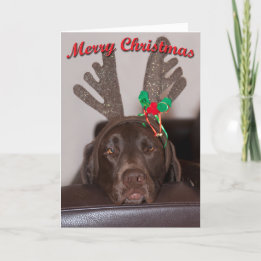 Cartes Pour Fêtes Annuelles Labrador De Noël Humoristique Avec Antlers De Part