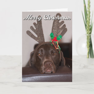 Cartes Pour Fêtes Annuelles Labrador de Noël ridicule avec bois festifs