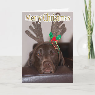 Cartes Pour Fêtes Annuelles Labrador drôle Paillettes Bois de Cerf Texte perso