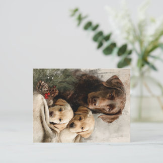 Cartes Pour Fêtes Annuelles Labrador et chiots Noël vintage